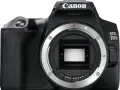 Najtańsza lustrzanka Canon: wybierz najlepszy model dla początkujących