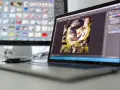 Lisek w kadrze programu Photoshop na ekranie laptopa.