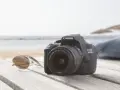 Tania a dobra lustrzanka - najlepsze modele dla początkujących fotografów