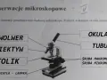 Obiektyw mikroskopu: kluczowe funkcje i zastosowania w mikroskopii