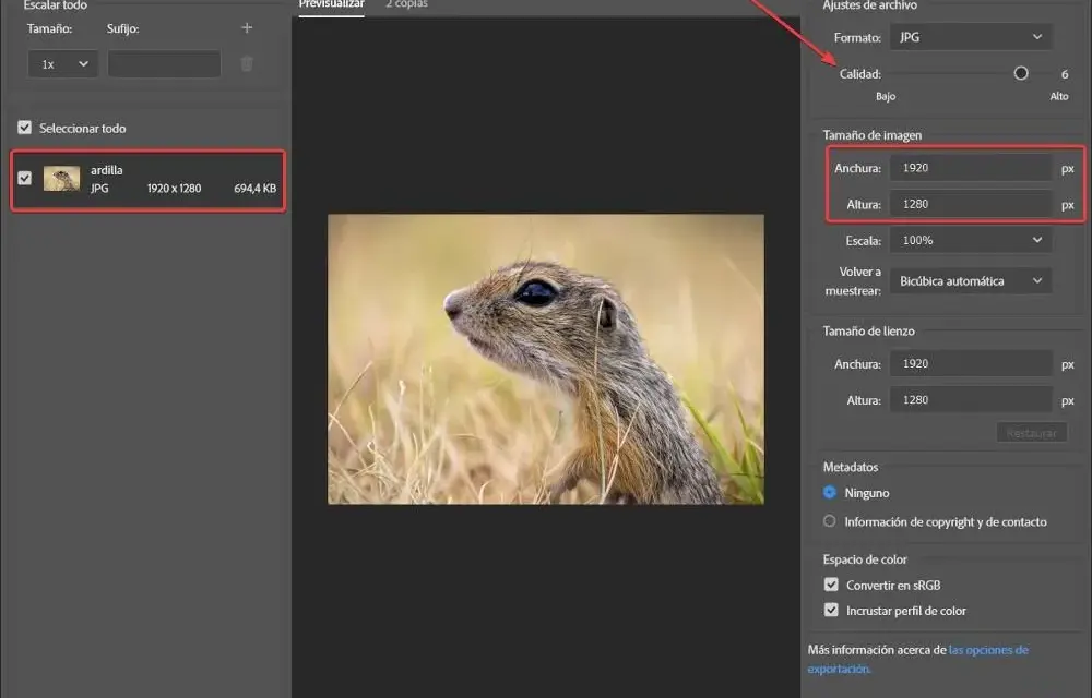 Jak zmniejszyć obraz w Photoshopie bez utraty jakości i czasu