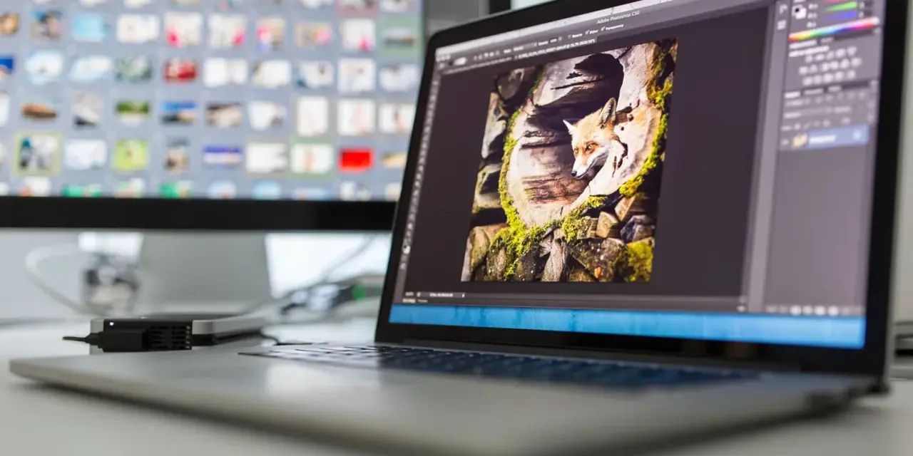 Lisek w kadrze programu Photoshop na ekranie laptopa.