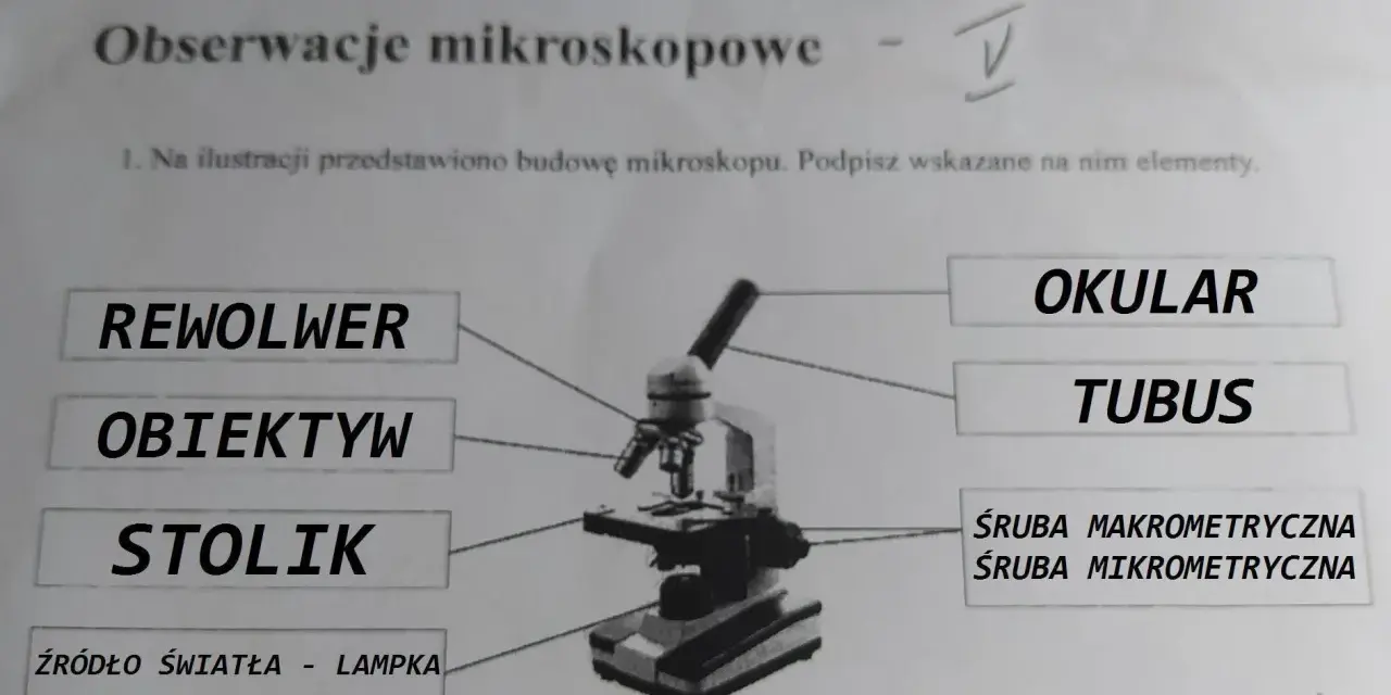 Obiektyw mikroskopu: kluczowe funkcje i zastosowania w mikroskopii