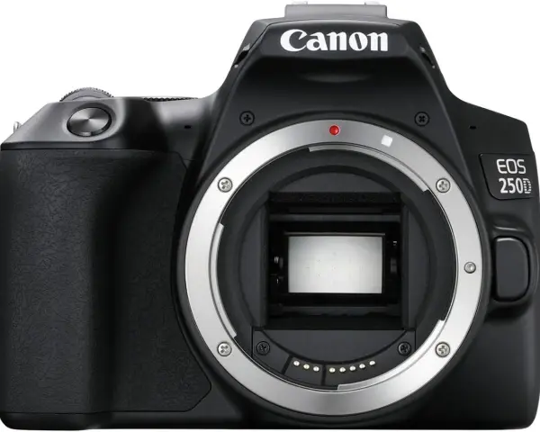 Najtańsza lustrzanka Canon: wybierz najlepszy model dla początkujących