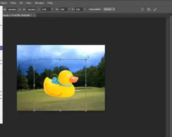 Jak rozciągnąć obraz w Photoshopie bez zniekształceń i błędów