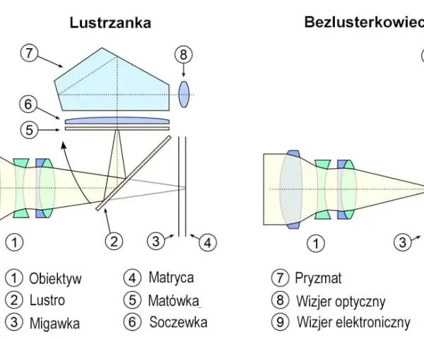 Lustrzanka bez lustra: Dlaczego warto wybrać aparat bezlusterkowy?