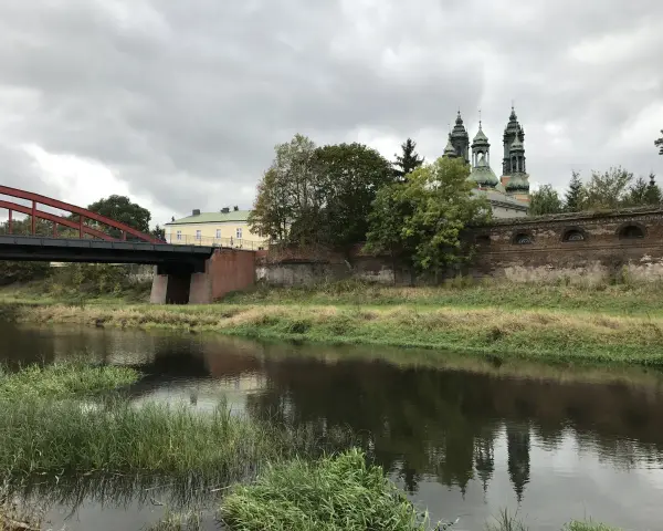 Most widokowy z rzeką, zieloną roślinnością i budynkami w tle.