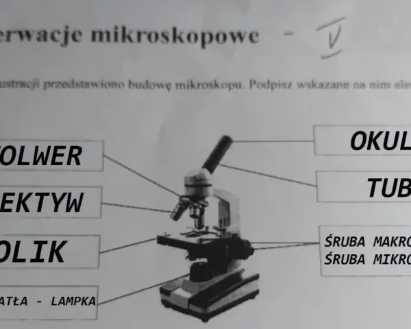 Obiektyw mikroskopu: kluczowe funkcje i zastosowania w mikroskopii