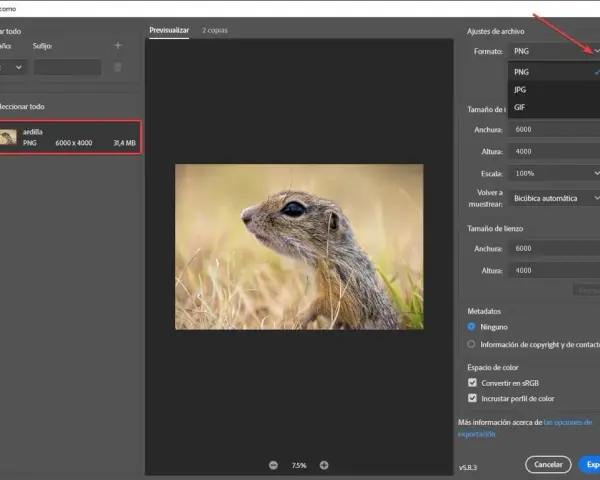 Jak zmniejszyć rozmiar pliku Photoshop i uniknąć utraty jakości