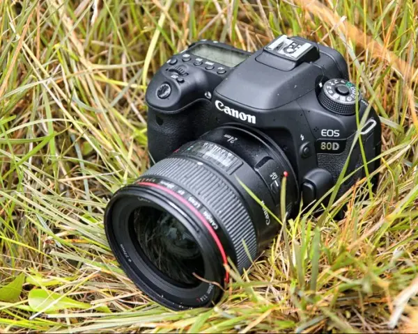 Lustrzanka Canon EOS 80D - najlepszy wybór dla zaawansowanych amatorów