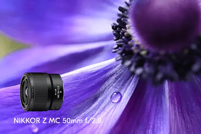 Zdjęcie Najlepszy obiektyw do makro Nikon - wybierz idealny model dla siebie