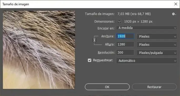 Zdjęcie Jak zmniejszyć zdjęcie w Photoshopie bez utraty jakości i straty detali